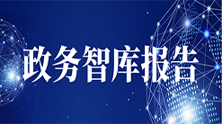 政务智库报告