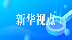 新华视点